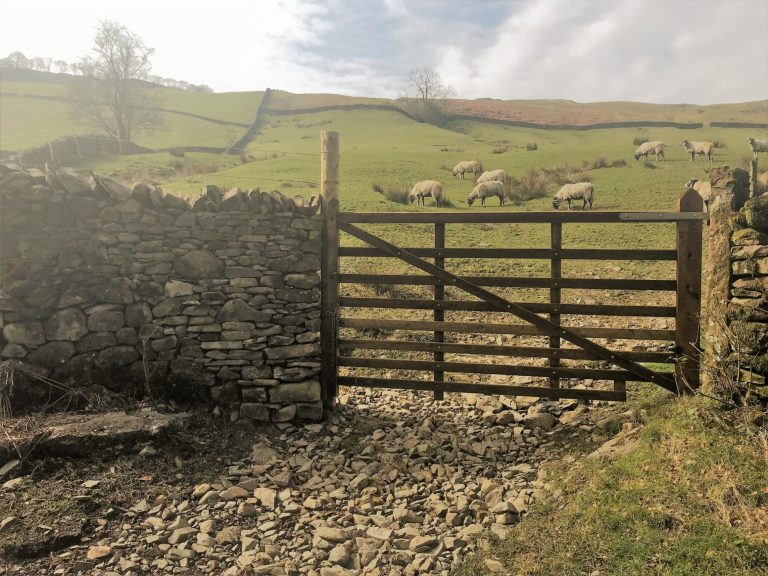 Gate - Bespoke Wooden Field Gate