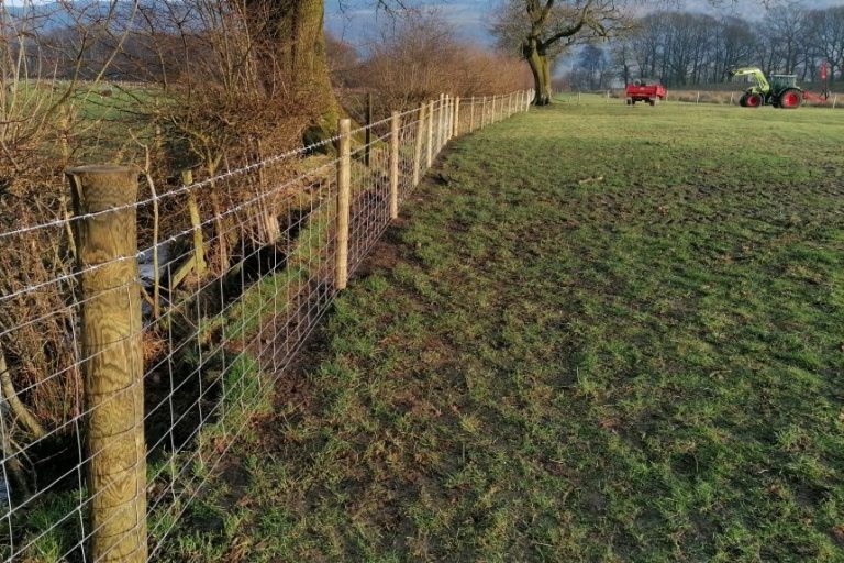 Wall top wire fencing, Yorkshire Dales